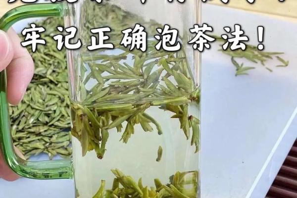 风水绿茶泡多久最佳多长时间最佳