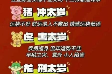 岁数小为什么不能算命