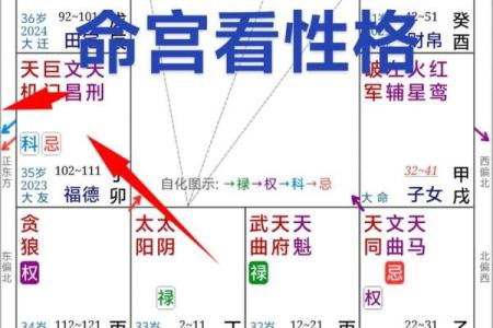 什么是紫微斗数中的天姚 紫微斗数 天姚？
