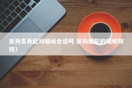 鼠狗生肖配对姻缘合适吗 鼠狗婚配的婚姻如何？