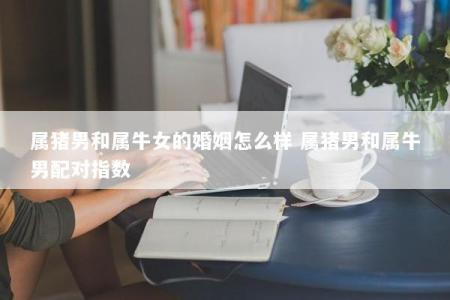 属猪男和属牛女的婚姻怎么样 属猪男和属牛男配对指数