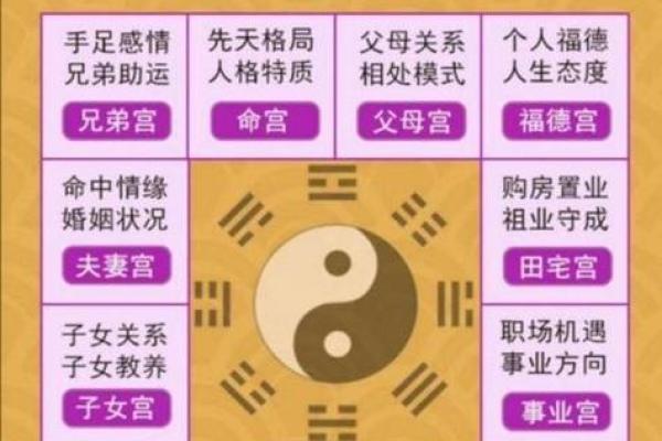 八字查询免费