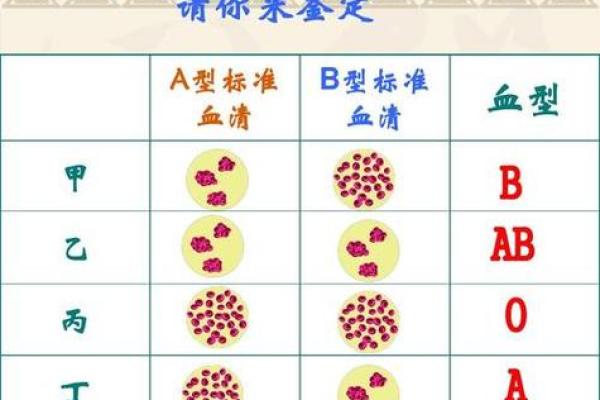 血型研究的发展史是怎样的