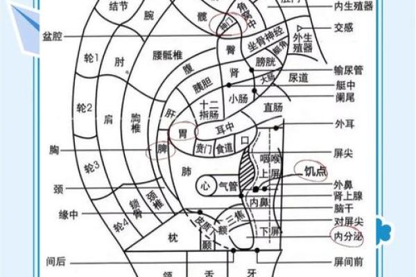 耳疼测试吉凶 耳疼测试吉凶