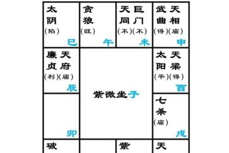 如何查紫薇斗数