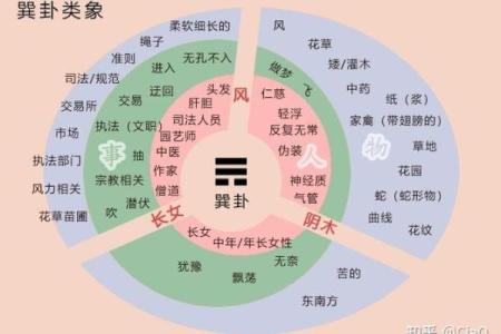 梅花易数的方位怎么定