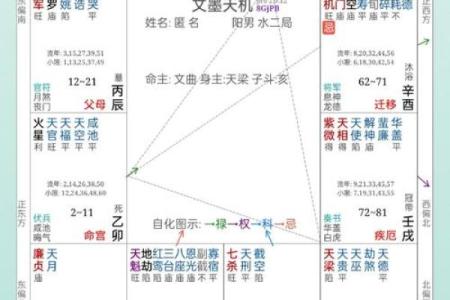 紫薇斗数迁移宫有太阳巨门
