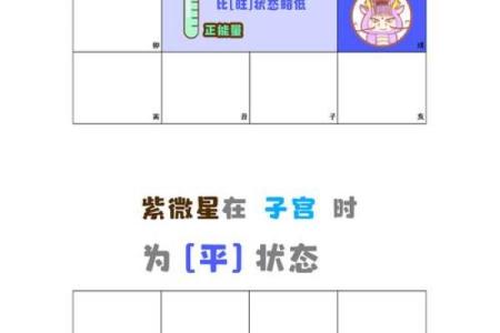 紫微斗数之子女宫与诸星，武曲星在子女宫是什么意思？