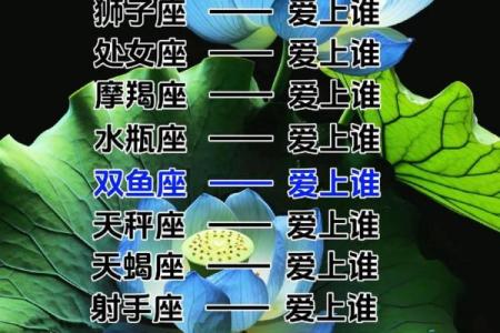 十二星座谁唱什么歌最适合