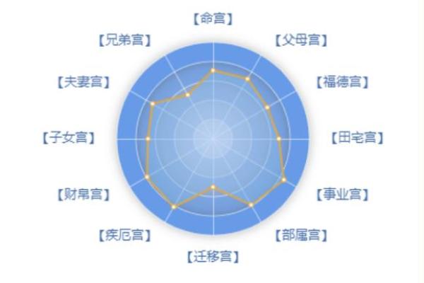 紫薇斗数外格 紫薇斗数外格