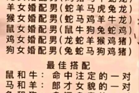 最准的12生肖配对表男龙女兔马 属相婚配男龙女兔