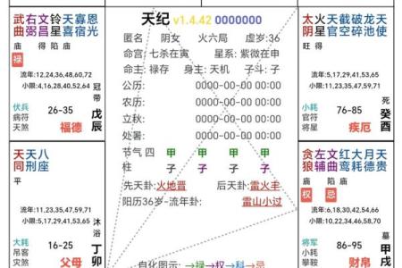 紫薇斗数命身宫