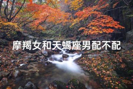 天蝎女和摩羯男配对指数 天蝎女和摩羯男在一起合适吗