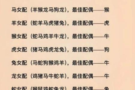 生肖和血型完美匹配你是哪种组合