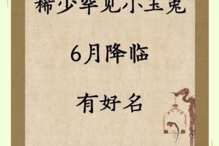 兔宝宝生辰八字