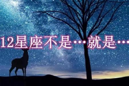 哪些星座自负且自卑还感性