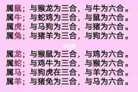 算命生肖婚配蛇配虎，蛇虎配对姻缘？
