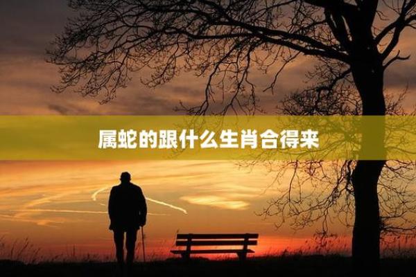 属牛和属蛇的相合配对指数 属牛和属蛇的相合配对指数