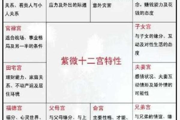 紫薇斗数实例解说 紫薇斗数实例解说