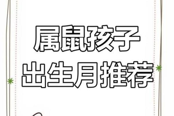 属鼠是哪一年出生的 属鼠的男孩出生吉日 属鼠是哪一年出生的 属鼠的男孩出生吉日