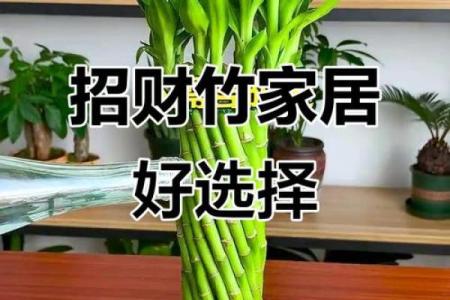 家庭风水家里种黄金竹好吗招财聚宝