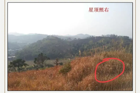 迁坟风水分析:要注意这些忌讳