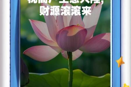 铺面风水:做生意成就财源滚滚