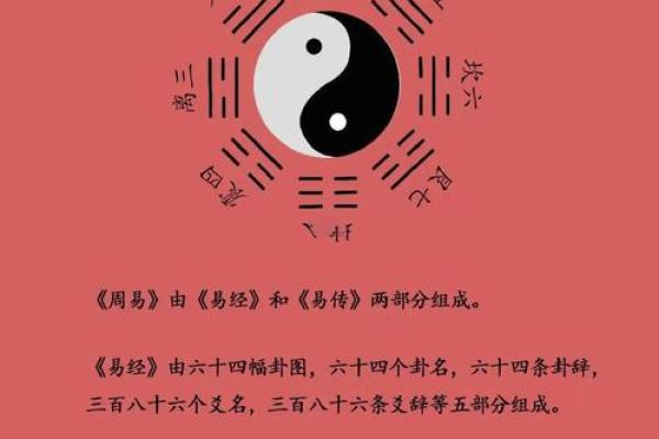 紫薇斗数梅花六易 紫薇斗数梅花六易