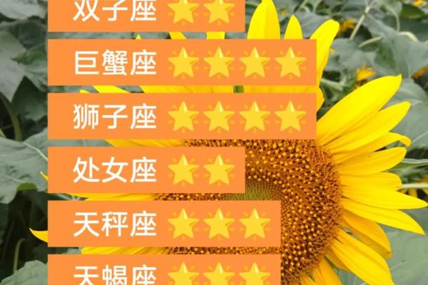 未来十天运势最旺的星座