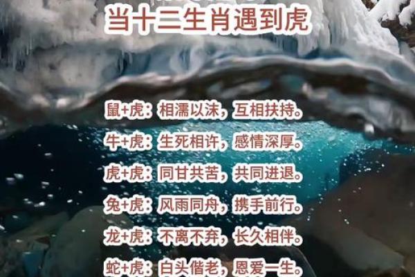 虎与最佳配鱼是什么  虎的最佳配对是什么