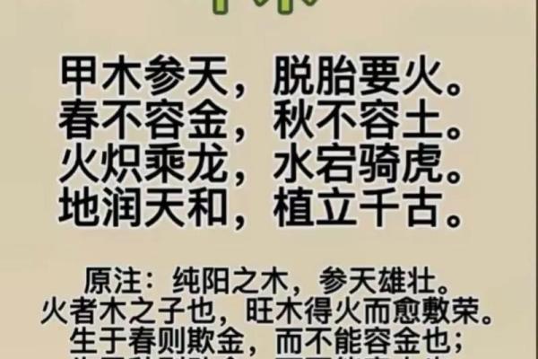 滴天髓八字算命,滴天髓算命免费查询 滴天髓八字算命,滴天髓算命免费查询