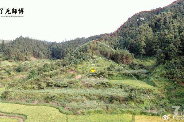 祖坟与八字 祖坟与八字