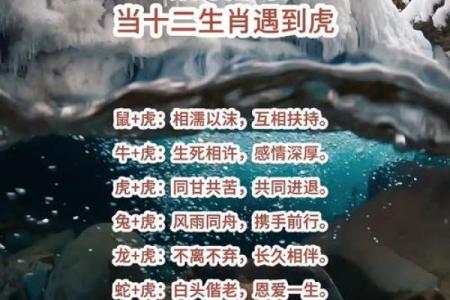 虎与最佳配鱼是什么  虎的最佳配对是什么