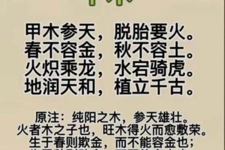 滴天髓八字算命,滴天髓算命免费查询