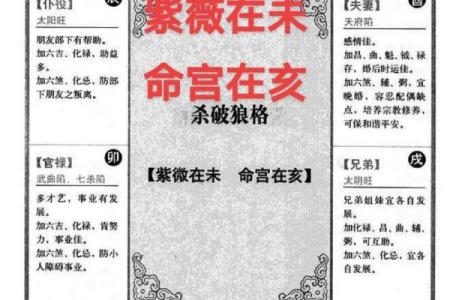 紫薇斗数流年免费算命