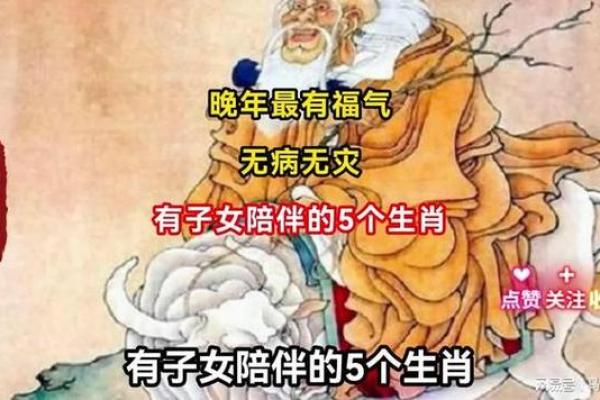 风水解读晚年最没福气的生肖有你的吗 风水解读晚年最没福气的生肖有你的吗