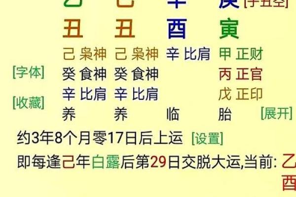 八字算命人的命运 八字算命人的命运