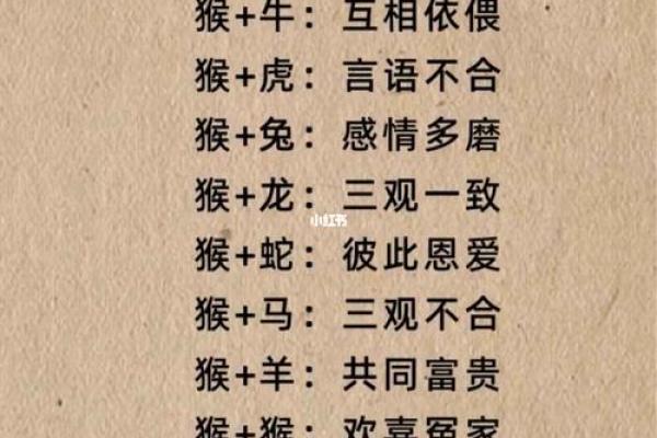 1998女虎婚姻配对 与属马相处融洽生活幸福