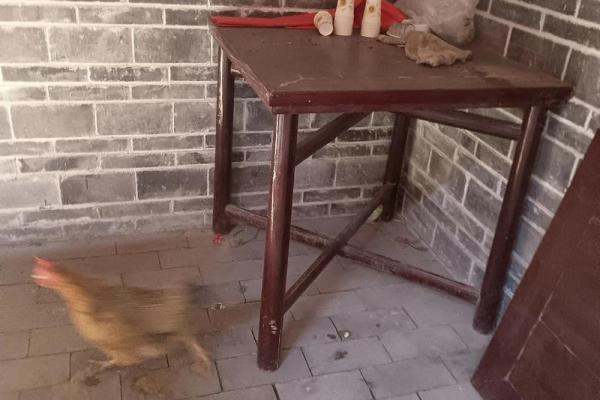 祖庙前不能建房子吗风水 祖庙前不能建房子吗风水