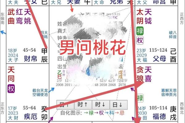 紫薇斗数无桃花