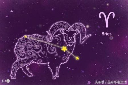 十二星座最适合什么样子的平衡车呢