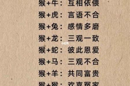 1998女虎婚姻配对 与属马相处融洽生活幸福