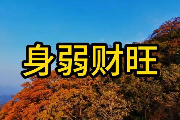 风水八字过硬的女人旺夫吗