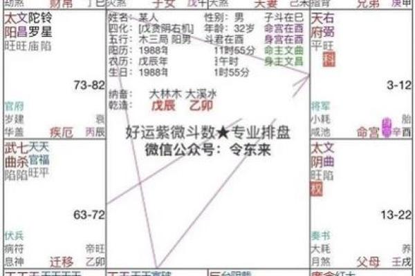 令东来注解紫微斗数全书 令东来紫微斗数怎么样？