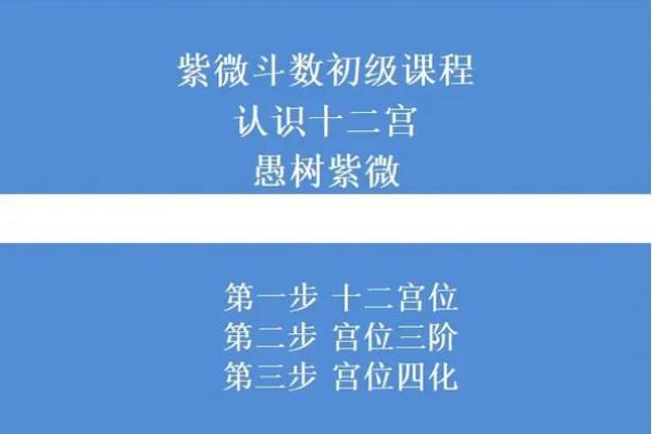 唐艺尹老师:紫薇斗数主星解释 唐艺尹老师:紫薇斗数主星解释