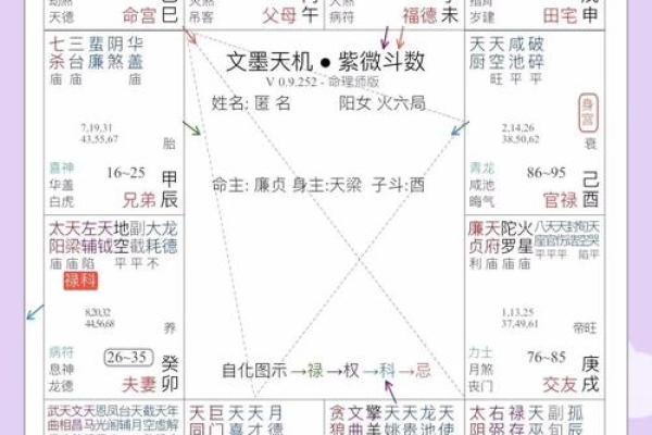 唐艺尹老师:紫薇斗数主星解释 唐艺尹老师:紫薇斗数主星解释