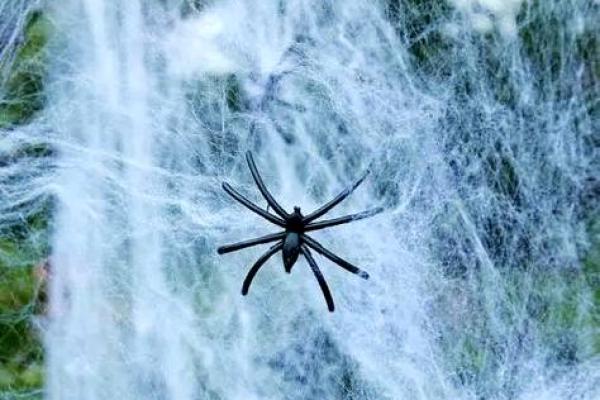 房子上面有大蜘蛛好吗风水 房子上面有大蜘蛛好吗风水