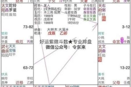 令东来注解紫微斗数全书 令东来紫微斗数怎么样？