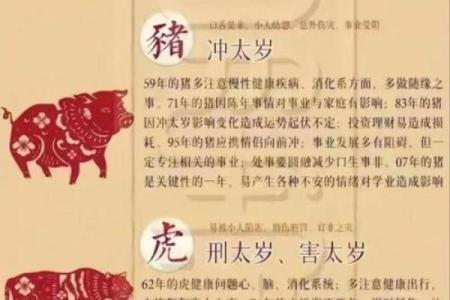 算婚姻合八字生肖虎女和什么生肖蕞配