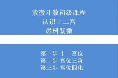 唐艺尹老师：紫薇斗数主星解释